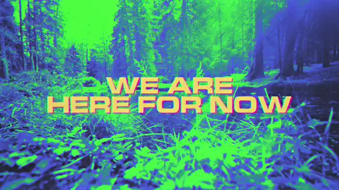 We Are Here for Now (Lyric Video)