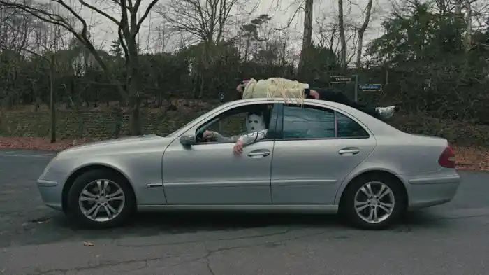 Fahrtwind (Visualizer)