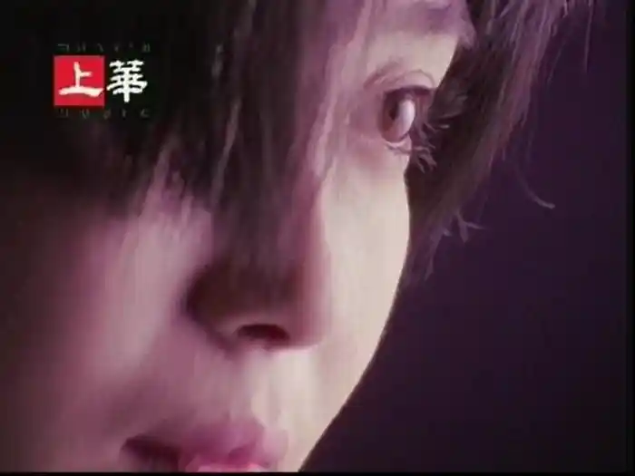 Ri Yi Ji Ye De Xiang Ni (Karaoke)