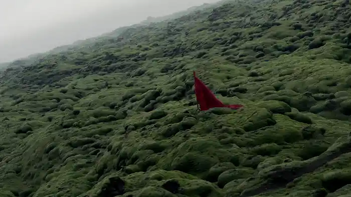 Wicked Hearts (Lyric Video)