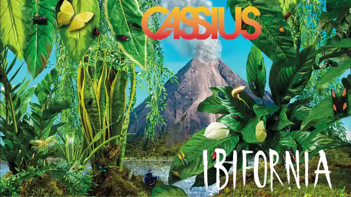 Ibifornia (Audio)