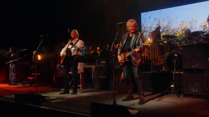 Tuesday Afternoon (Forever Afternoon) (Live)