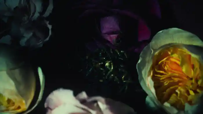 Dis Mdfkrs (Lyric Video)