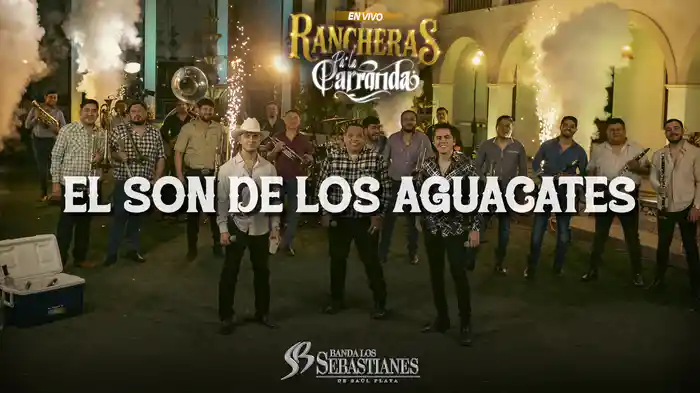 El Son De Los Aguacates (En Vivo / LETRA)