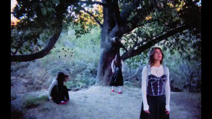 whole heart black (Visualizer)