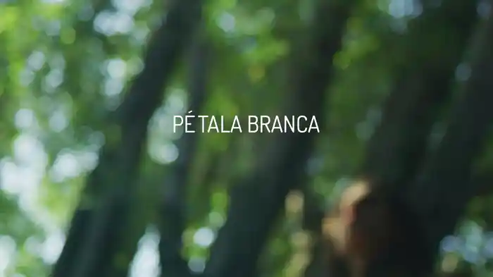 Pétala Branca (Lyric Video)
