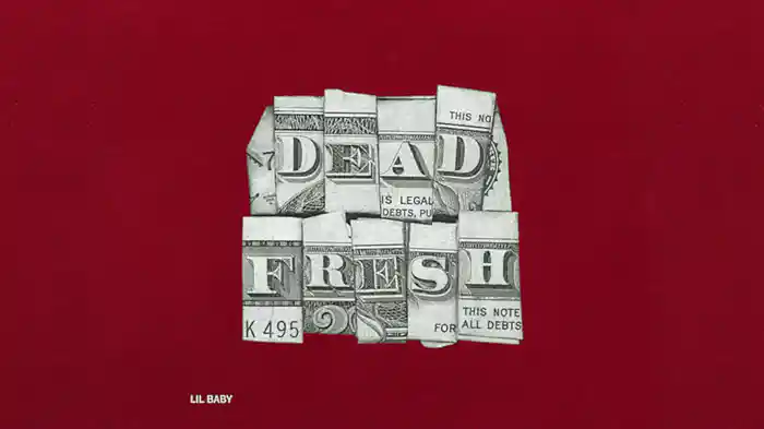 Dead Fresh (Visualizer)