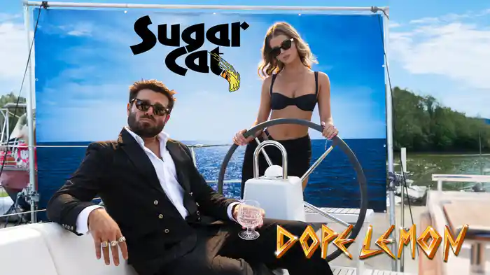 Sugarcat