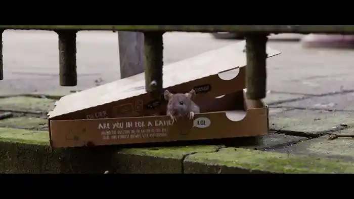 Jungle Van Beton (Titelsong "De Wilde Stad")