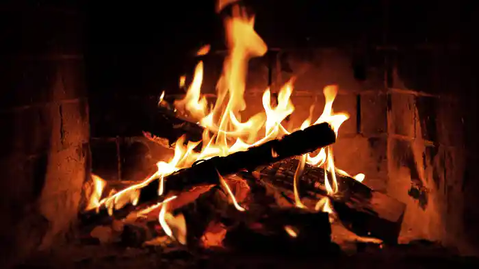 Moments To Remember (Louis' Official Yule Log)