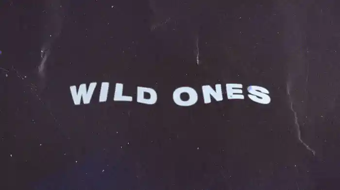 For The Wild Ones (Lyric Video)