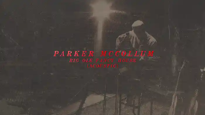 Big Ole Fancy House (Acoustic / Audio)