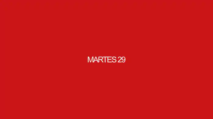 MARTES 29 (Lyric Video)