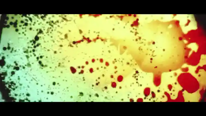 Una Buona Idea (Live)