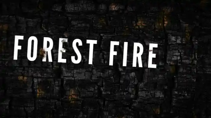 Forest Fire (Lyric Video)