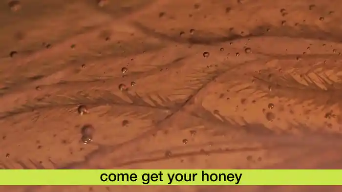 Honey (Lyric Video)