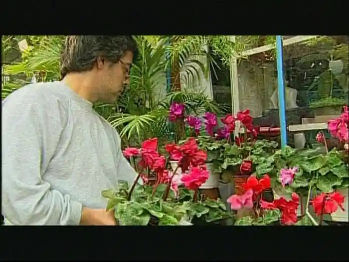 Volver A Empezar (Video)