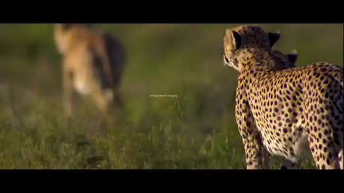 Mumford & Sons And National Geograpic Present: Forever (Lyric Video)