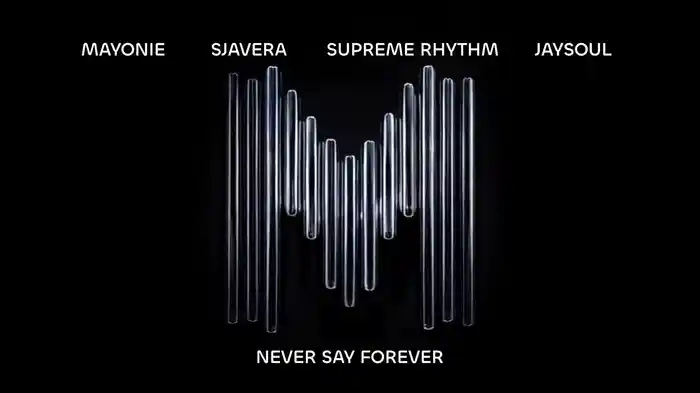 Never Say Forever (Visualizer)