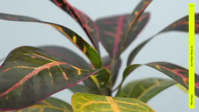 Sun Keeps Rising Up (Visualizer)