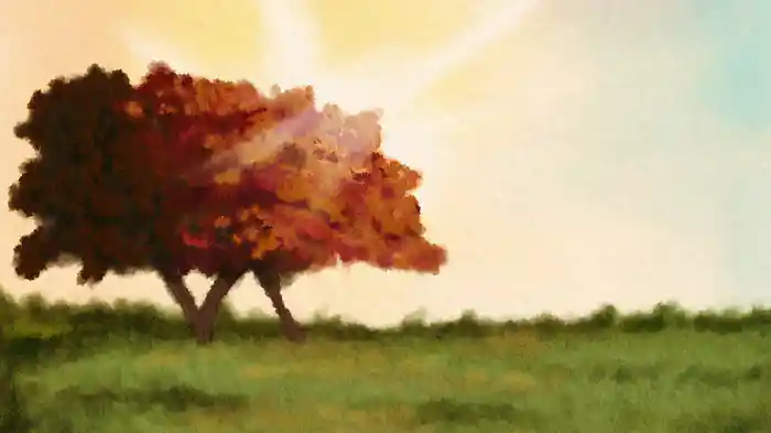 The Secret Life of Daydreams (Arr. Assad for Guitar) (From “Pride & Prejudice” / Visualizer)