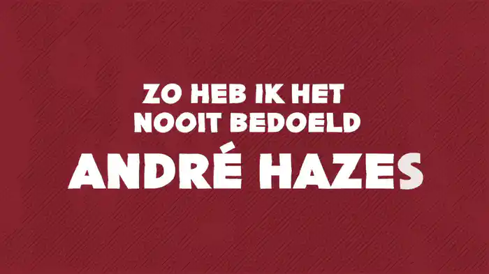 Zo Heb Ik Het Nooit Bedoeld (Lyric Video)