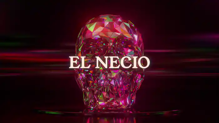 EL NECIO (En Vivo / LETRA)