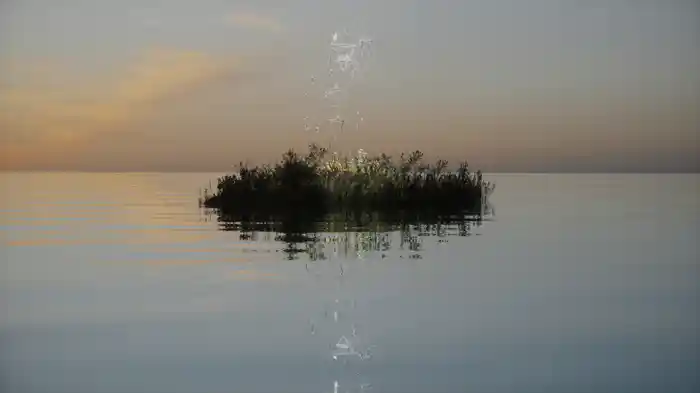 A Dawning (Visualiser)