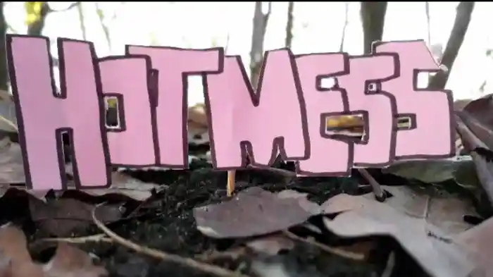 Hot Mess (Fan Edition)