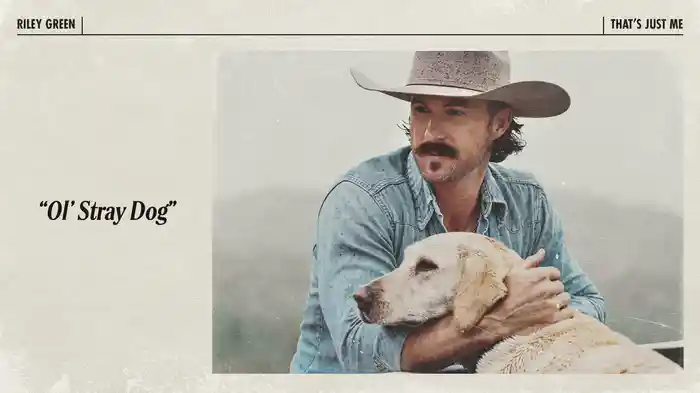 Ol' Stray Dog (Audio)