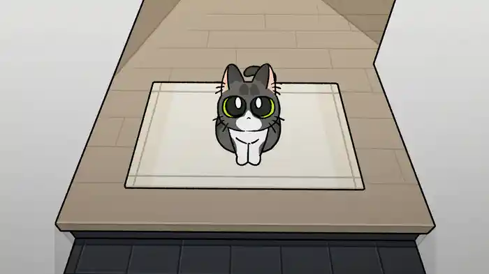 猫日
