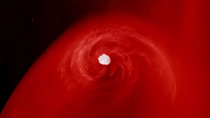 Movement 10 - Her Gift (Visualizer)