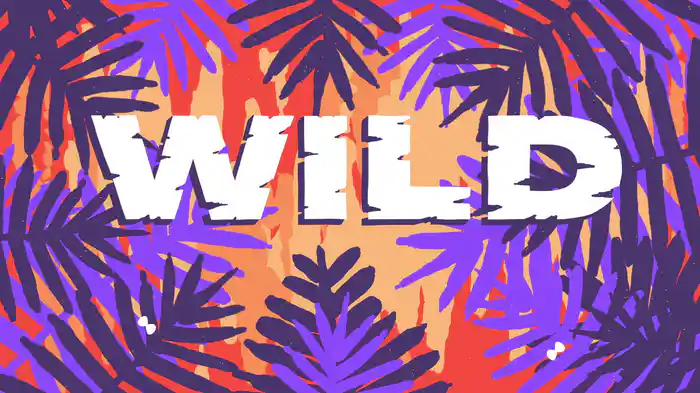 Wild (Lyric video)