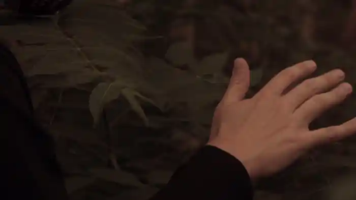 Awake (Track By Track)