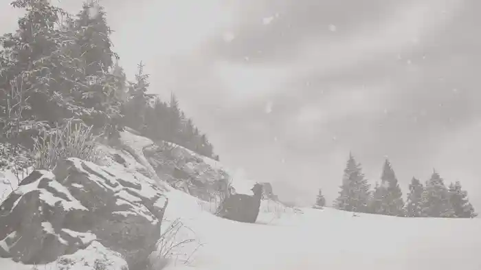 Tennessee Christmas (Lyric Video)