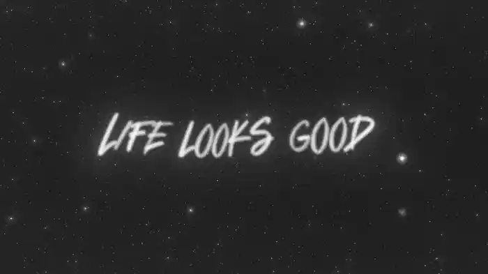 Life Looks Good (Visualizer)