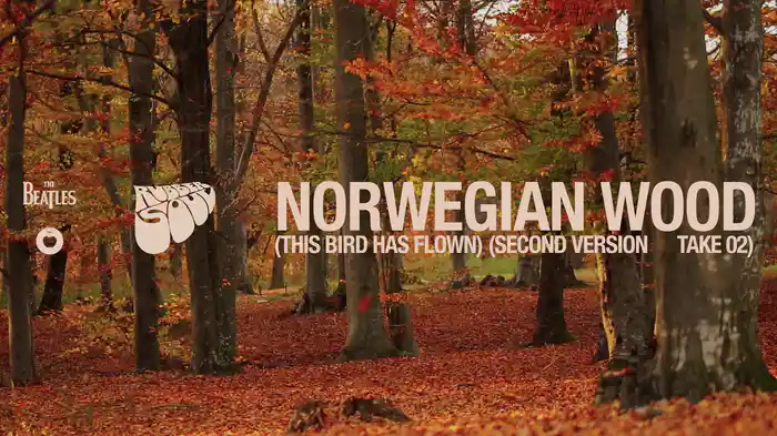 Norwegian Wood (This Bird Has Flown) (Second Version - Take 2 / Visualiser)