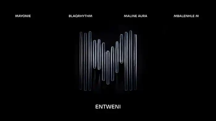 Entweni (Visualizer)