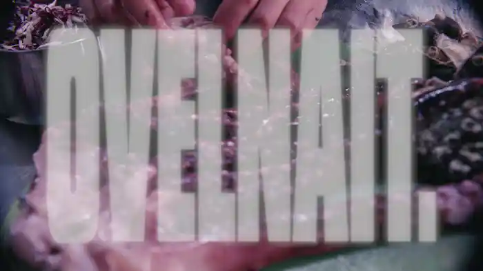 OVELNAIT. (Visualizer)