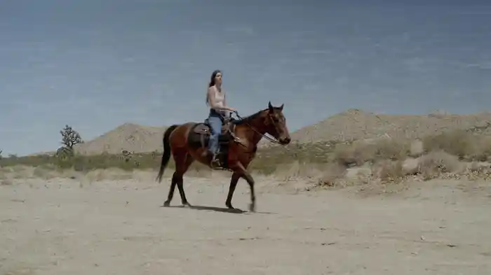 Break My Heart In Two (Visualizer)