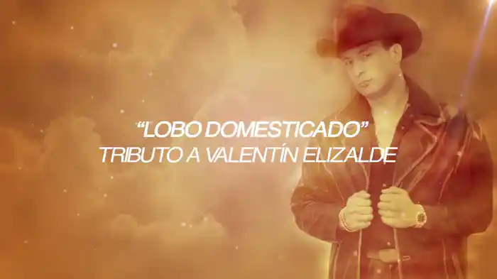 Lobo Domesticado (Lyric Video)