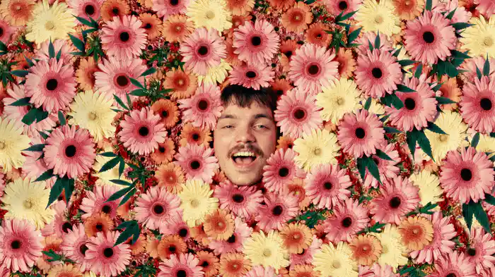 Beautiful Neighbourhoods