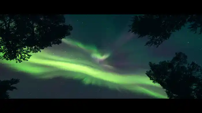 Dance Of The Clairvoyants (Mach I)