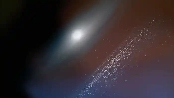 Phoenix (Animated Video)