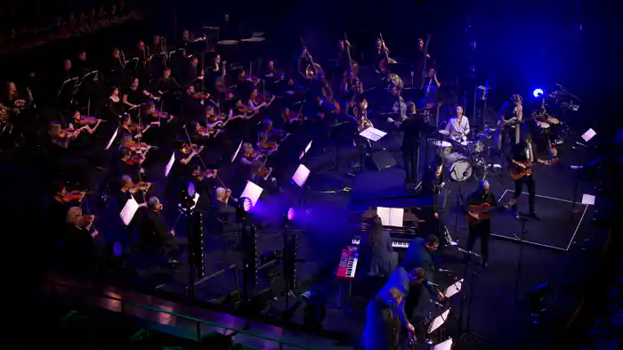 Doing Fine (Live at Sydney Opera House)