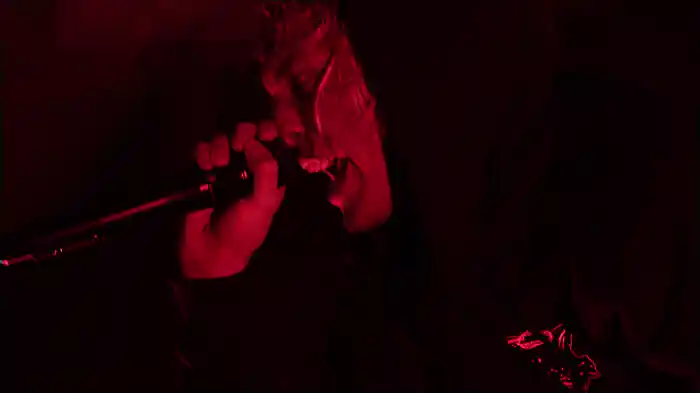 The New Insane