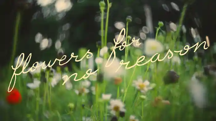 Flowers For No Reason (Lyric Video)