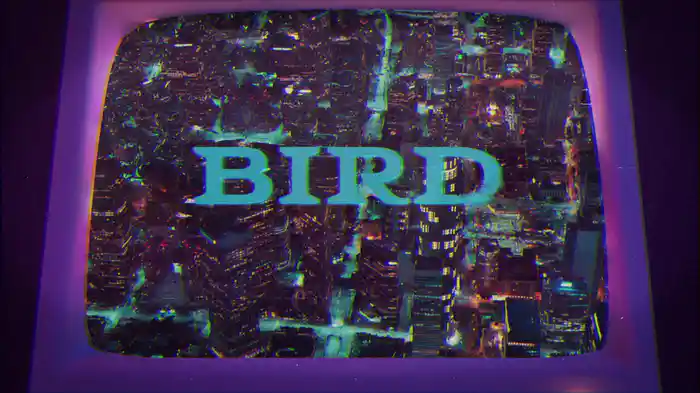 Bird (Lyric Video)