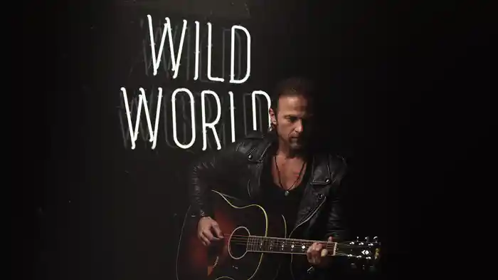 Wild World (Audio)
