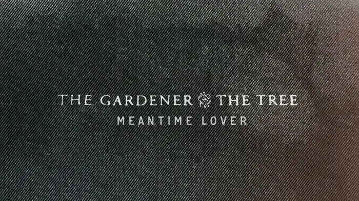 Meantime Lover (Audio)